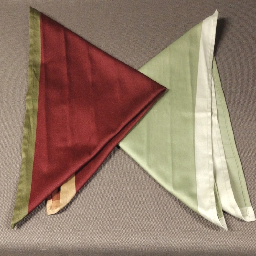 2 pc Pier 1 Napkin Bundle